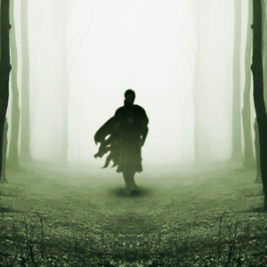 Cover of An Unfolding Tale