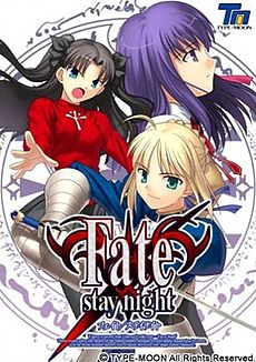 Cover of Fate/Stay Night