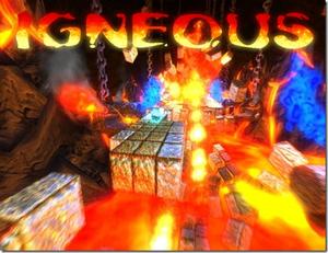 Cover of Igneous