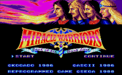 Cover of Miracle Warriors: Seal of the Dark Lord