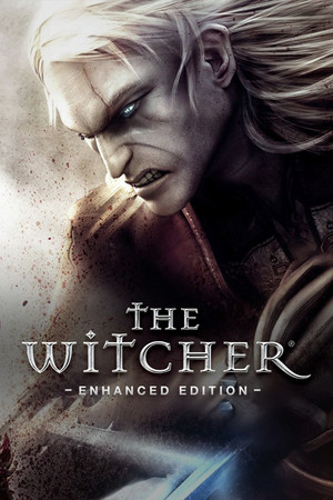 Cover of The Witcher