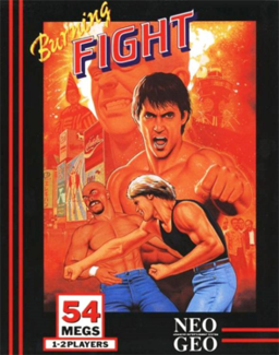 Cover of Burning Fight