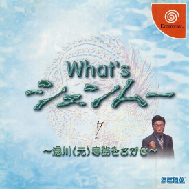 Cover of What's Shenmue?