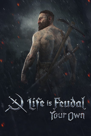 Cover of Life is Feudal: Your Own