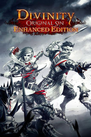 Cover of Divinity: Original Sin - Enhanced Edition