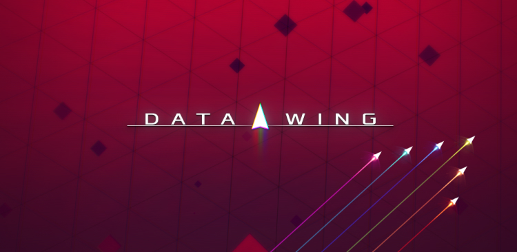 Cover of Data Wing