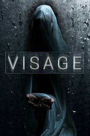 Cover of Visage