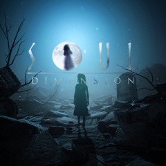 Cover of Soul Dimension