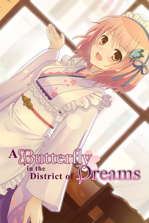 Cover of A Butterfly in the District of Dreams