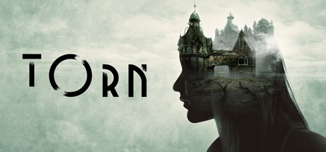 Cover of Torn (2018)