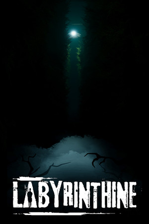 Cover of Labyrinthine