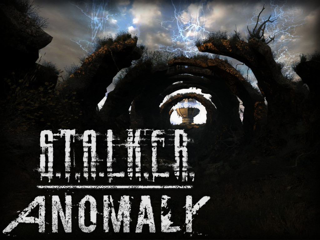 Cover of S.T.A.L.K.E.R.: Anomaly