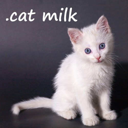 Cover of .cat Milk