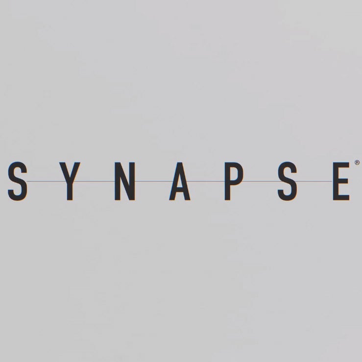 Cover of Synapse (2023)